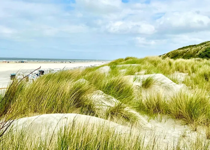 Апартаменты Friesenhaus - 7 *